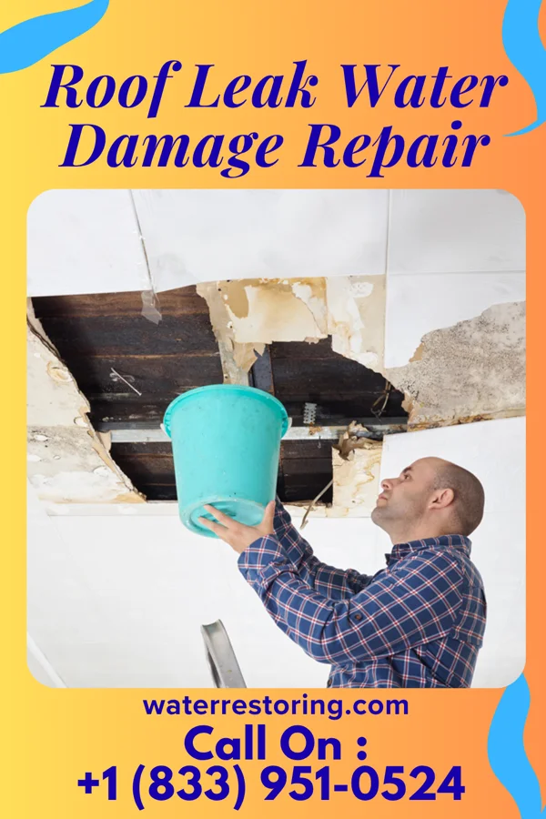 Roof Leak Water Damage Repair in Big Point, MS