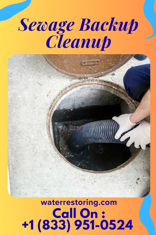 Sewage Backup Cleanup in Big Point, MS