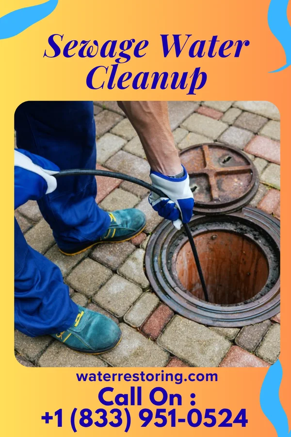 Sewage Water Cleanup in Big Point, MS